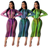 Cheap Snake Print Mesh Perspective Midi Dress SDD9095