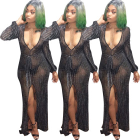 Hot Sexy See-Through Split V Neck Mesh Dress HM5165