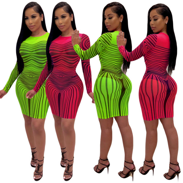 Bodycon Mesh Perspective Long Sleeves Pencil Dress AMM8107