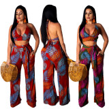 Sexy Beach Sets Fashion Printed Sexy Women 2 Pcs Sets MY9348