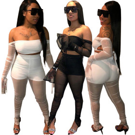 Off Shoulder Flared Sleeve Top See Through Pleated Pants Sexy Sets DN8342