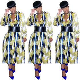 Long Sleeve Women Printed Button Down Leisure Dress FA7057