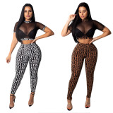 Mesh Crop Tops + Print Leggings Two Pieces Sets YZ1565
