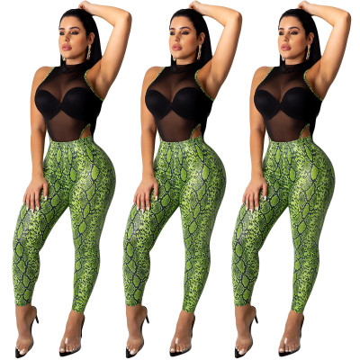 Sleeveless Mesh Perspective Top Snake Printing Tight Pants YY5086