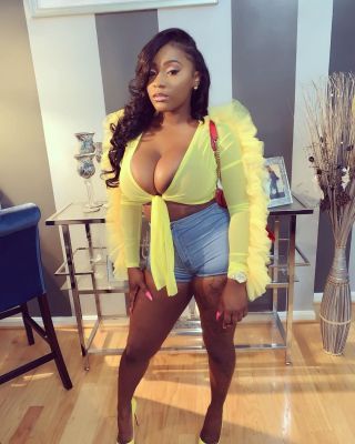 Sexy Mesh Perspective Tied Ruffle Crop Top SMD7011