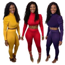 Fashion Solid Color High Collar Pleated Sleeves Cropped Top With Trousers Two Piece Set N9245
