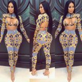 Unique Long Sleeve Bra Top Printing Pencil Pants CY1089