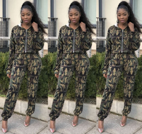 Street Style Printing Leisure Hooded Suits For Women LMM8084