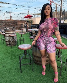 Sexy printed pink snakeskin striped casual shorts two-piece CL6013