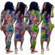 Factory Price Slim Multicolor Round Collar Leopard Printing Dress SN3700