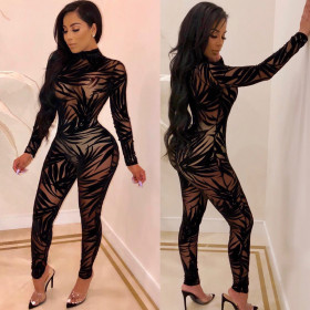 Black Mesh Bodycon Club Sexy Jumpsuits QZ3246