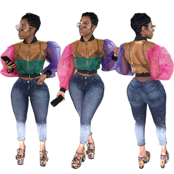 Color Patchwork Long Sleeves Covers Up Perspective Top WJ5045