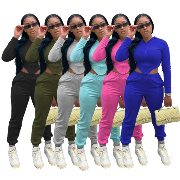 Fashion Solid Color Zipper Long Sleeves Hooded Top With Trousers Two Piece Set YF8134