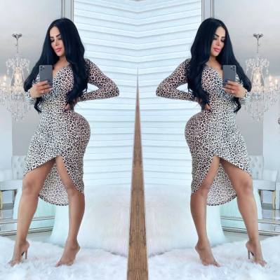 Deep V Irregular Dovetail Dress Slim Fit WMZ2541