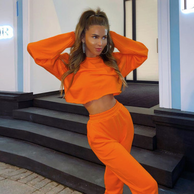 Casual Round Neck Long Sleeves Cropped Sweater With High Waist Trousers Two Piece Set K20S08596