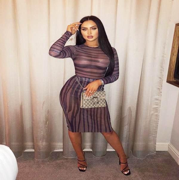 Sheer mesh long-sleeved printed wild explosion midi skirt WM810