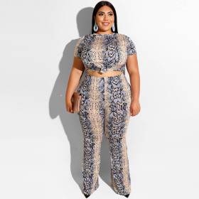 Serpentine printed tight T-shirt, straight trousers two-piece suit 19269
