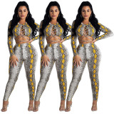 Print Hollow Out Two Pieces Sets AA5021