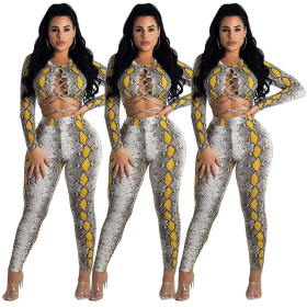 Print Hollow Out Two Pieces Sets AA5021