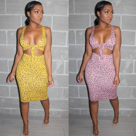 Sexy women's beach style suit skirt two-piece wrap chest leopard print AL074