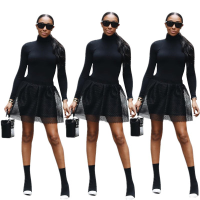 Unique Women Suits High Neck Long Top Mesh Skirt YYZ817