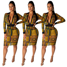 Euramerican Printing Slim Deep V Collar Midi Dress SDD9138