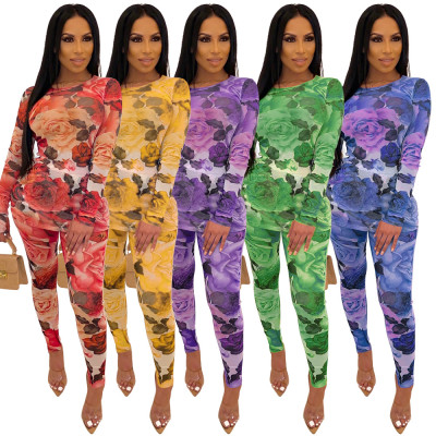 Long Style Floral Print Mesh Perspective Bodycon Outfits WY6637