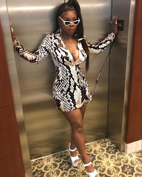 Fashion casual sexy suit collar snake print digital print dress LZ-669