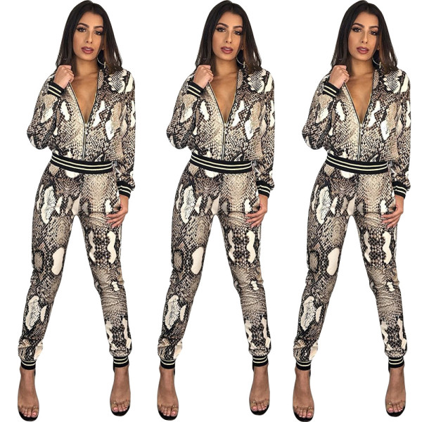 Sport Fashion Snake Print 2 Pieces Women Suits HM5180