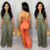 Newest Solid Color 2 Pieces Pants Suits For Daily Wear BS1079
