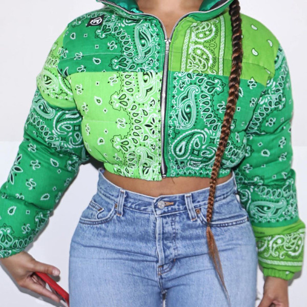 Winter Pattern Printed Zipper Long Sleeves Mini Jacket T1734491