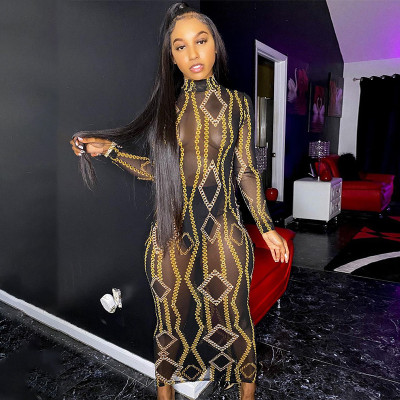 Sexy Mesh See-Through High Collar Long Sleeves Long Dress M20671D