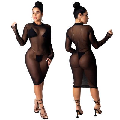 Sexy Mesh Perspective Round Neck Long Sleeves Skinny Dress SMR9883