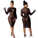 Sexy Mesh Perspective Round Neck Long Sleeves Skinny Dress SMR9883