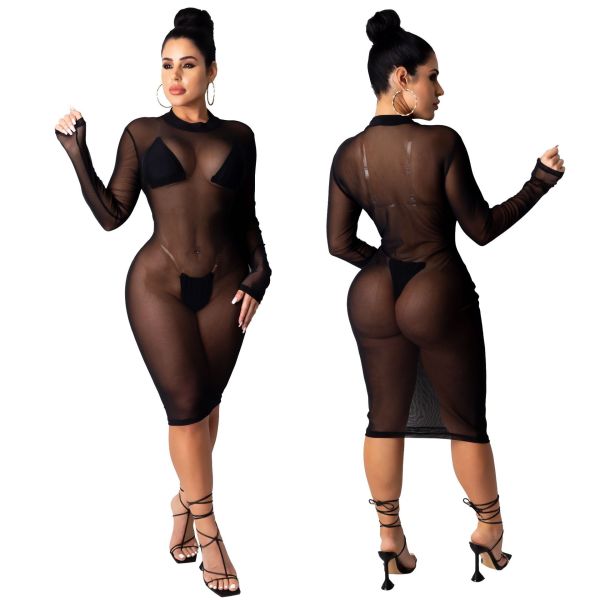 Sexy Mesh Perspective Round Neck Long Sleeves Skinny Dress SMR9883