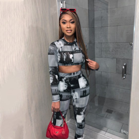 Sexy Mesh Printed Round Neck Long Sleeves Cropped Top With Trousers Two Pieces Sets S0B3882W
