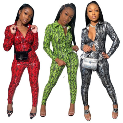 Fashion Snake Printed V-Neck Long Sleeves Shirt With Trousers Two Pieces Sets QZ3316