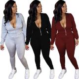 Sexy Solid Color Zipper Deep V-Neck Long Sleeves Top With Trousers Two Piece Sets HG082