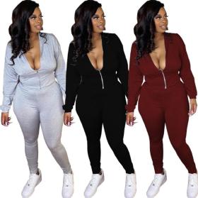 Sexy Solid Color Zipper Deep V-Neck Long Sleeves Top With Trousers Two Piece Sets HG082