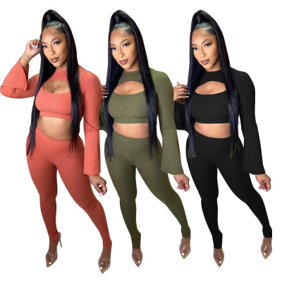 Fashion Hollow Out Round Neck Long Sleeves Cropped Top With Trousers Two Piece Sets N9261