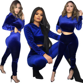 Fashion Velvet Long Sleeves Hooded Cropped Sweater With Trousers Two Pieces Sets HM6370