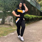 Plus Size Contrast Stitching V-Neck Short Sleeves Top With Trousers Two Piece Sets  ONY5073