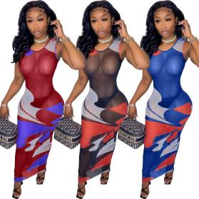 Womens Fashion Perspective Printed Net Yarn Dress SQ956