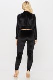 Sexy Velvet Zipper V-Neck Long Sleeves Cropped Top With Trousers Two Piece Sets A3243