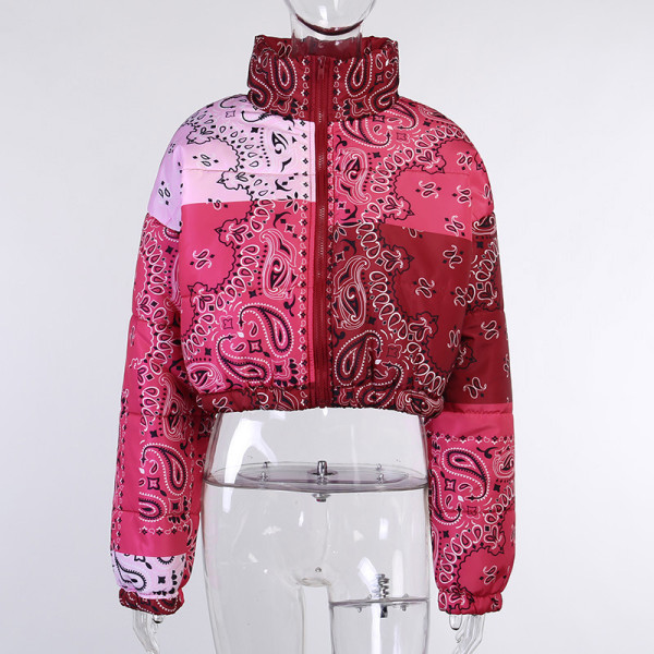 Winter Pattern Printed Zipper Long Sleeves Mini Jacket T1734491