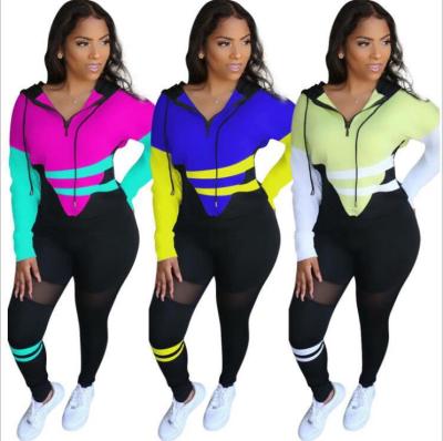 Fashion Contrast Zipper Long Sleeves Sweater With Mesh Stitching Trousers Two Piece Sets S6239