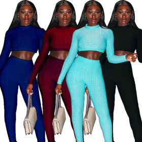 Fashion Fish Scale Round Neck Long Sleeves Ctopped Top With Trousers Two Piece Sets QZ6119