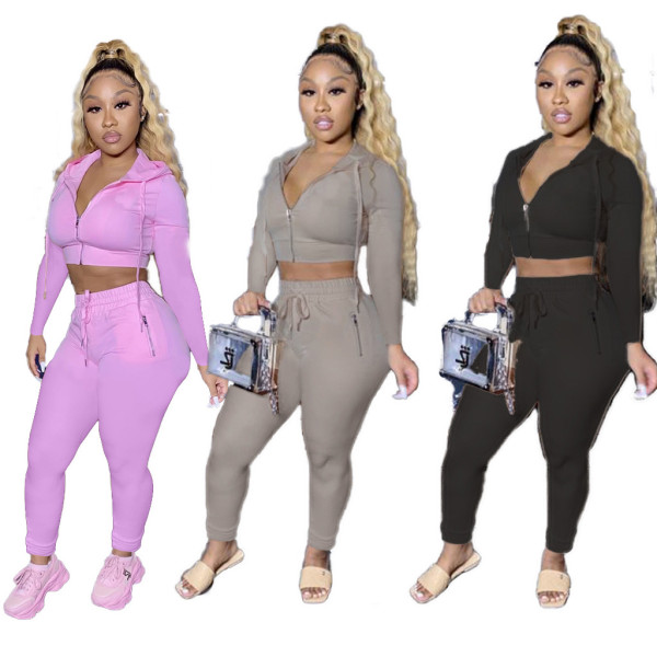 Casual Solid Color Zipper Long Sleeves Hooded Cropped Top With Drawstring Trousers Two Piece Sets R3
