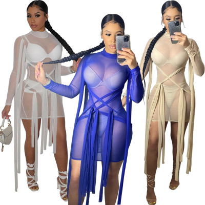 Womens sexy mesh dress (without underwear) MTY6506