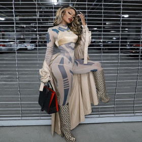 Sexy See-Through Mesh Printed Round Neck Long Sleeves Bodysuit With Trousers Two Pieces Sets S0A3669